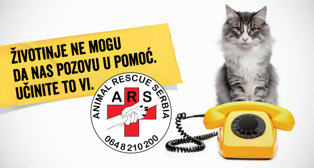 animals can t call for help but, you can  block&roll
